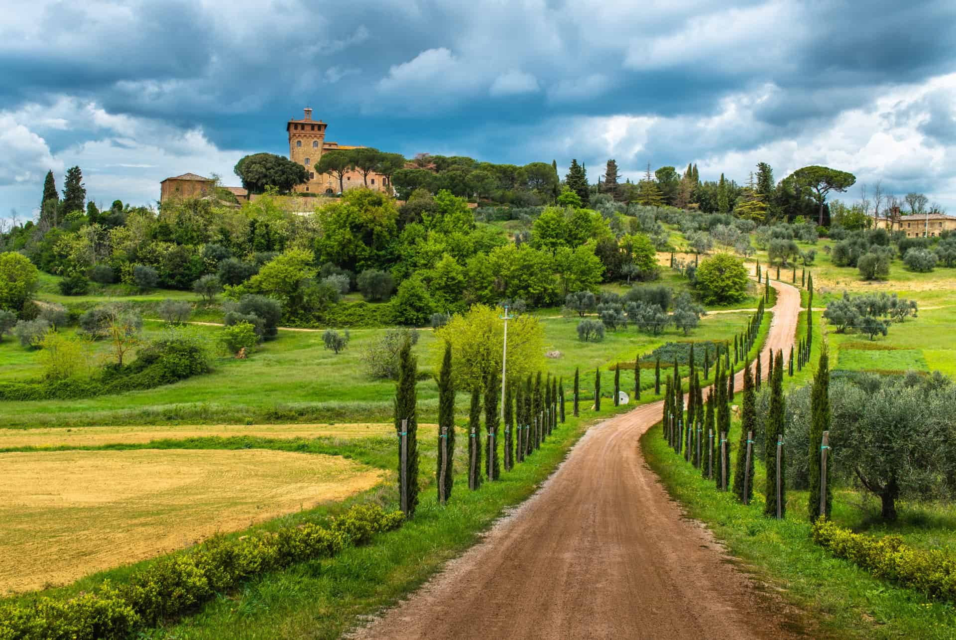 vignobles chianti vignobles chianti