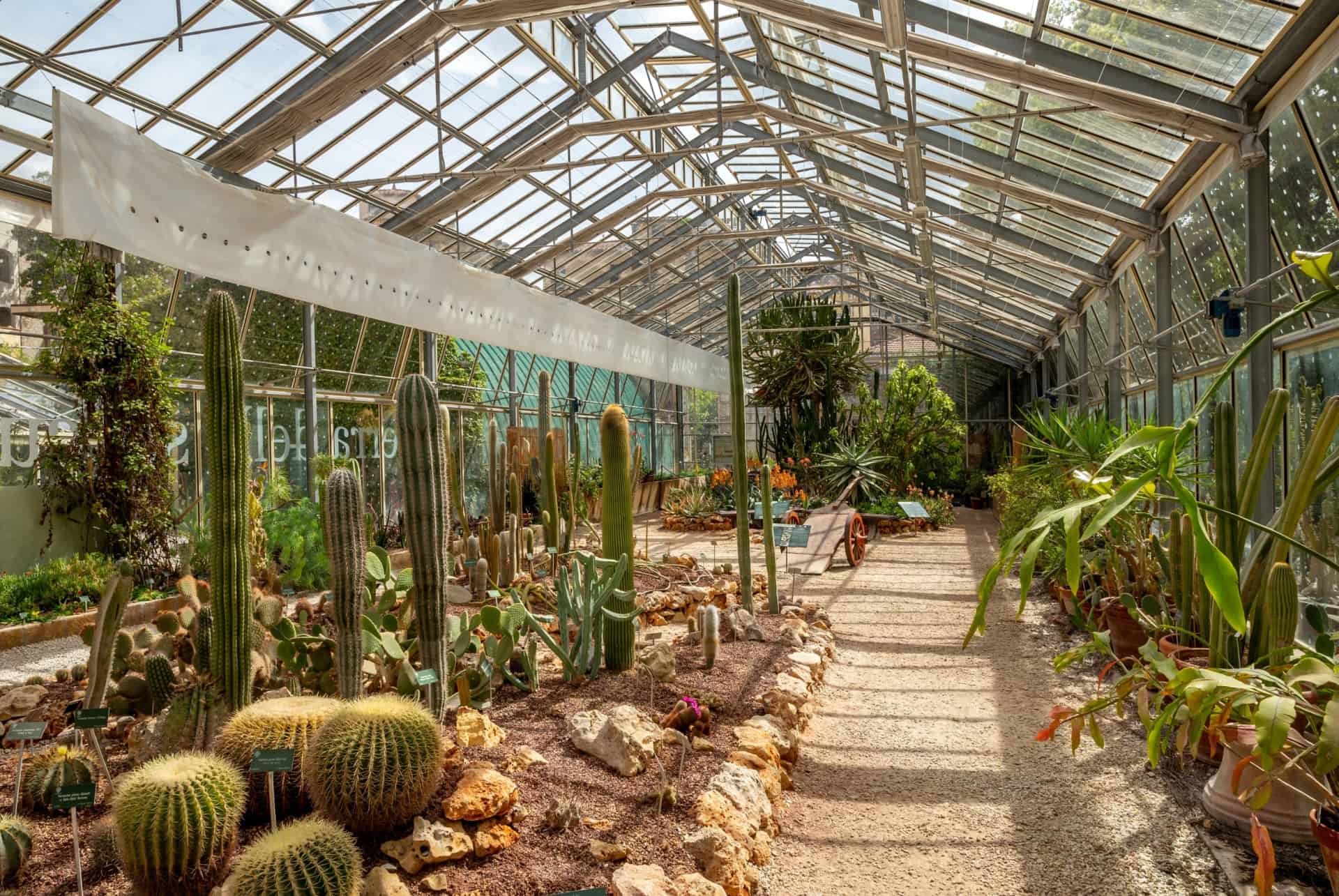jardin botanique universite pise