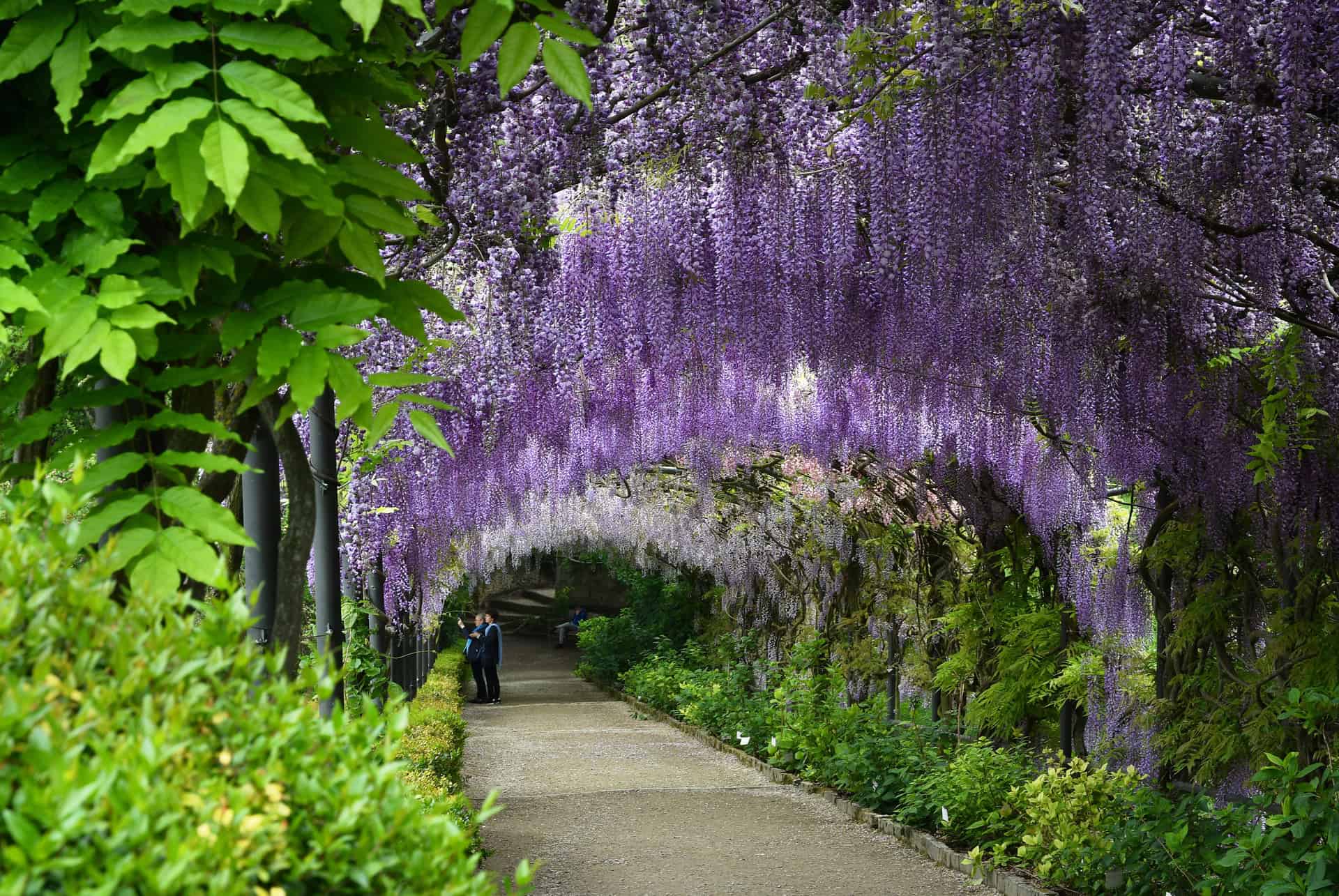 visiter florence en 3 jours jardins bardini visiter florence en 3 jours jardins bardini