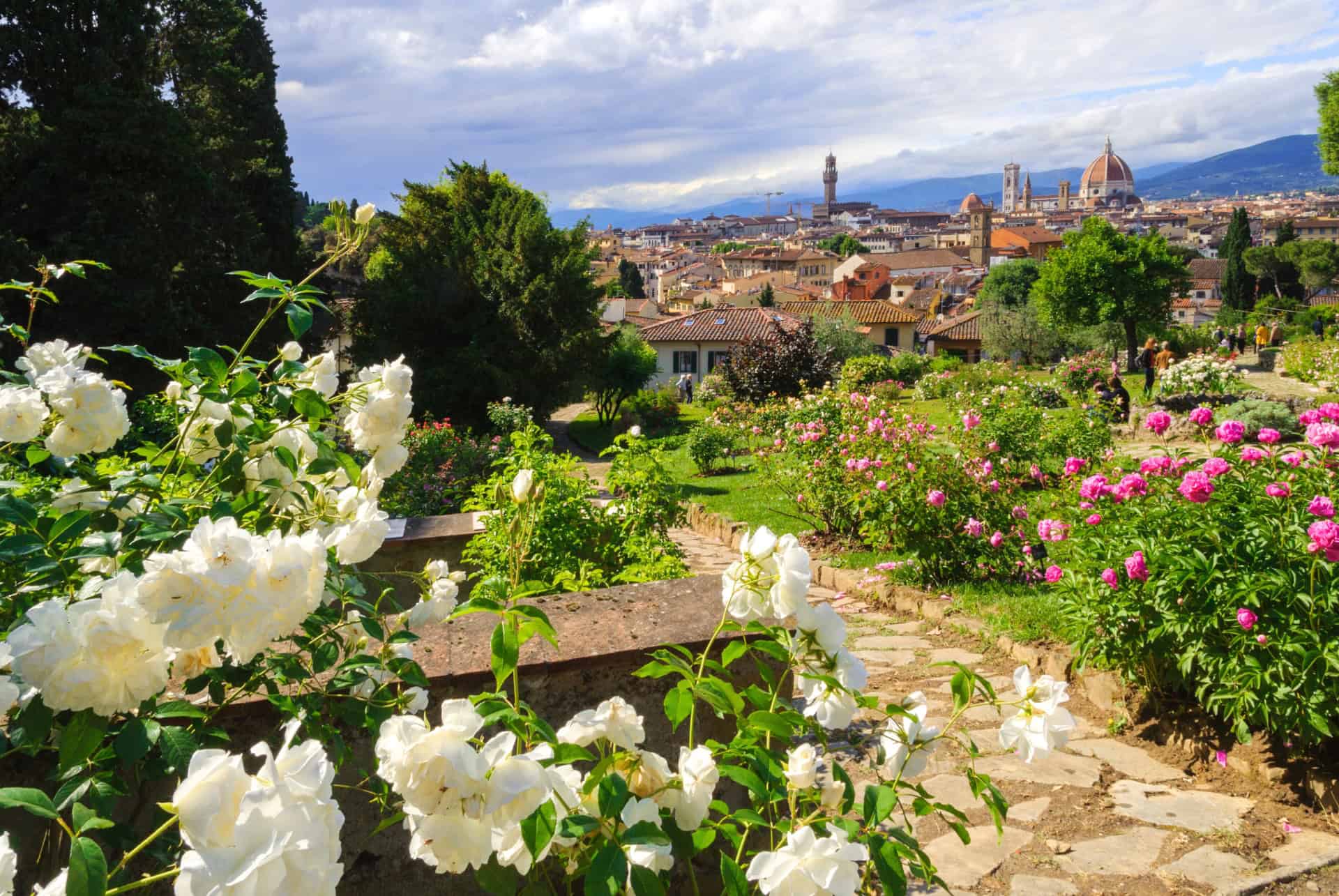jardin aux roses