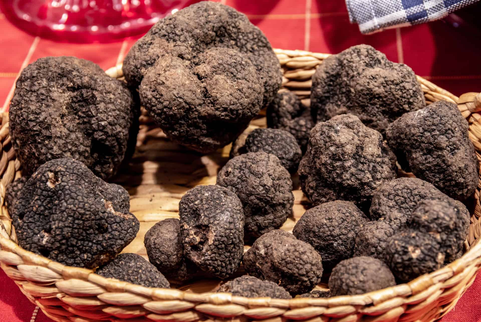 truffes toscane truffes toscane