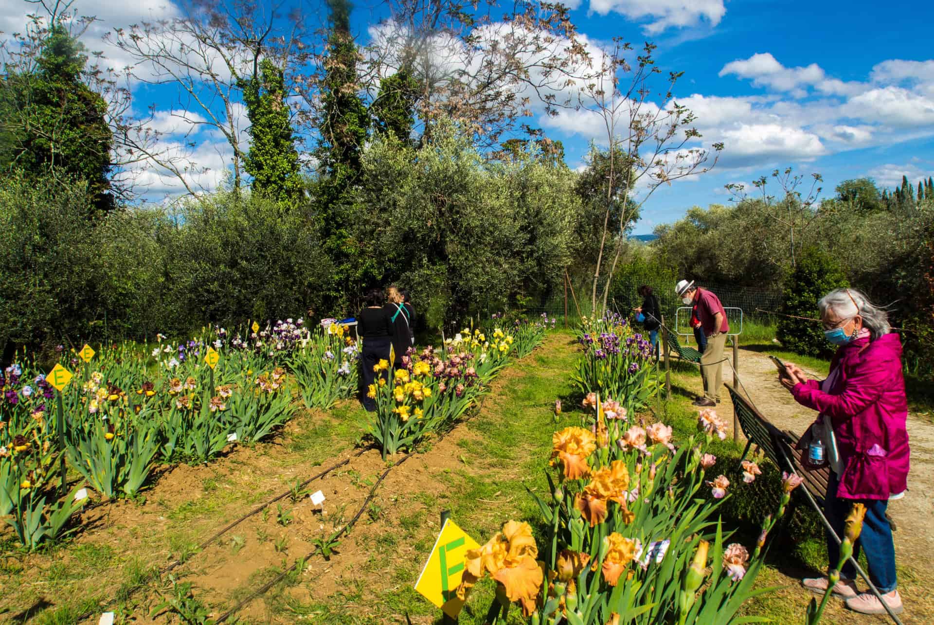 giardino dell iris plus beaux parcs et jardins florence