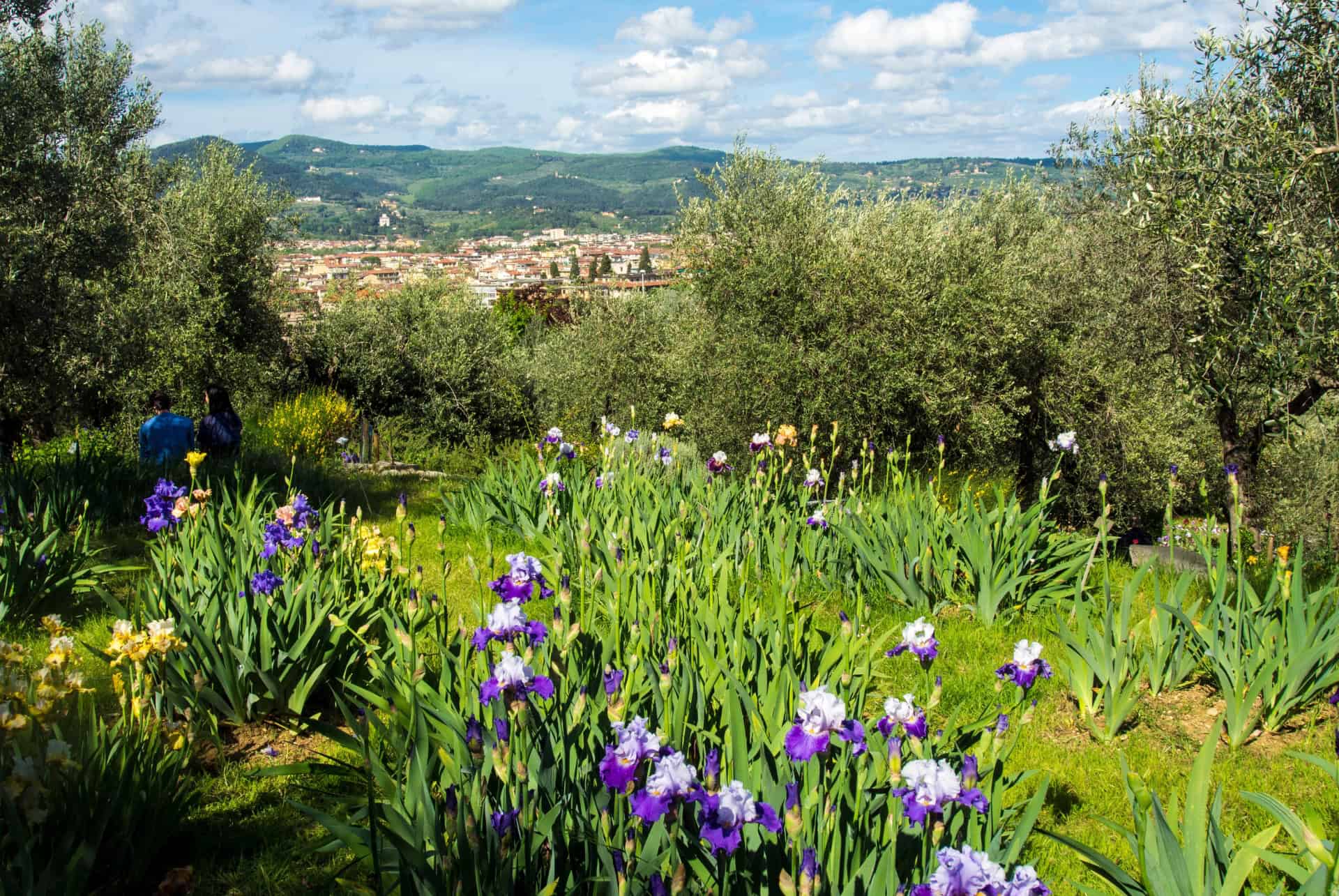 giardino dell iris