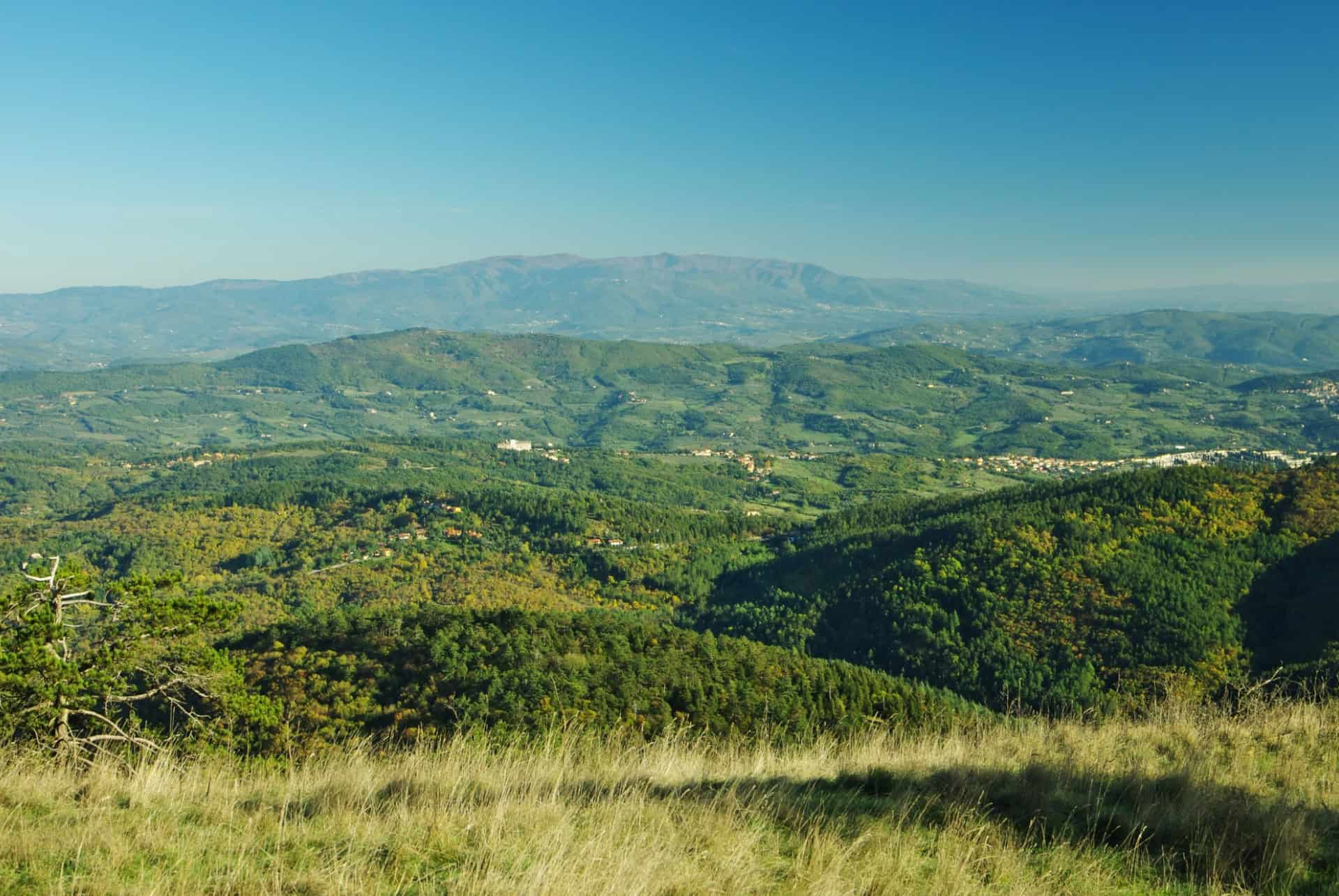 monte morello